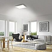 Led paneel met backlight (l x b x h: 295 x 295 x 50 mm, Koud wit) | BAUHAUS
