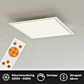 Led paneel met backlight (l x b x h: 295 x 295 x 50 mm, Koud wit) | BAUHAUS