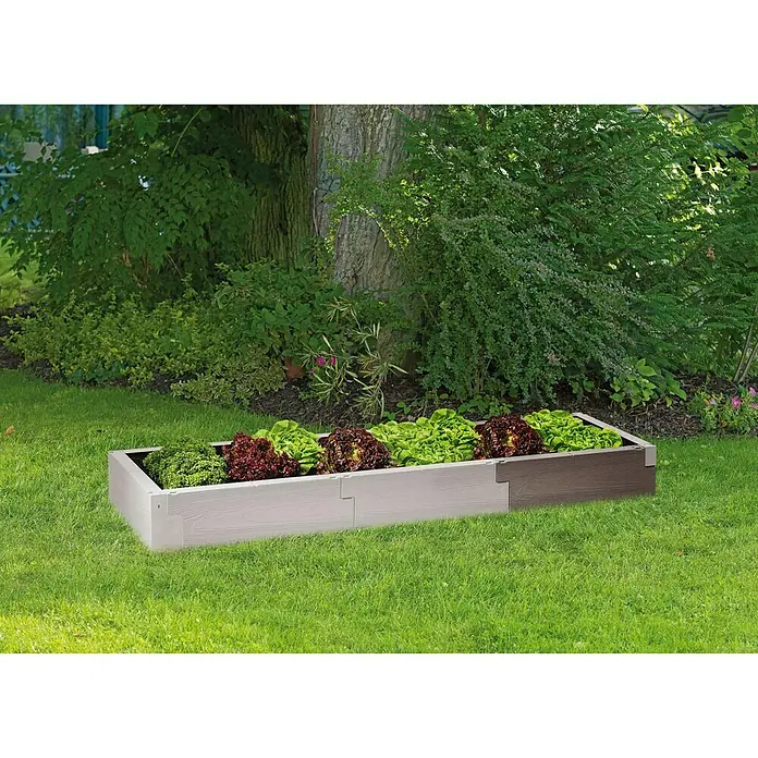 Juwel Hochbeet-Erweiterung Timber - 60 x 20 cm - Hochbeet mit verschiedenen Salatpflanzen, ideal für den Garten oder die Terrasse, aus wetterfestem Material und einfacher Montage.