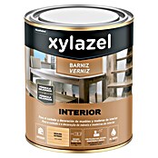 Xylazel Barniz para madera Interior al agua (Incoloro, 250 ml, Satinado) | BAUHAUS