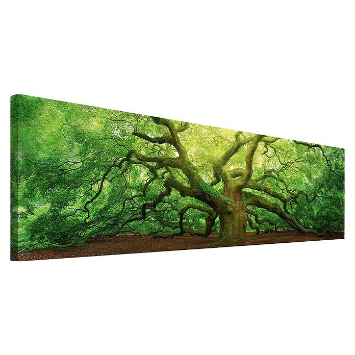 Reinders Holzbild Deco Block (Old Oak, B x H: 118 x 40 cm) | BAUHAUS