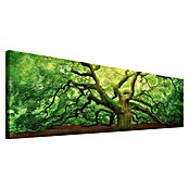 Reinders Holzbild Deco Block (Old Oak, B x H: 118 x 40 cm) | BAUHAUS