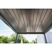 Wismar-NFI Pergola Bio (L x B: 480 x 359,3 cm, Grau)