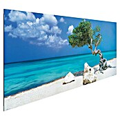 Reinders Decopanel (Divi Divi Tree, An x Al: 156 x 52 cm) | BAUHAUS