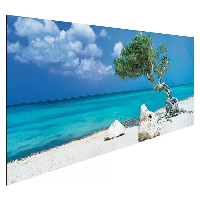 Reinders Decopanel - Divi Divi Tree, An x Al: 156 x 52 cm - Cuadro de playa tropical con árbol retorcido, mar turquesa, arena blanca y cielo azul con nubes.