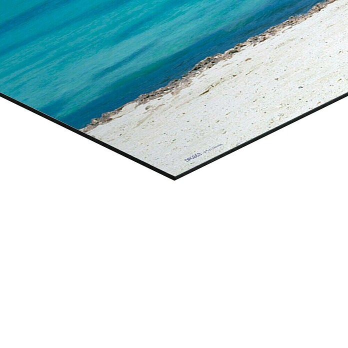 Reinders Decopanel (Divi Divi Tree, An x Al: 156 x 52 cm) | BAUHAUS