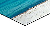 Reinders Decopanel (Divi Divi Tree, An x Al: 156 x 52 cm) | BAUHAUS