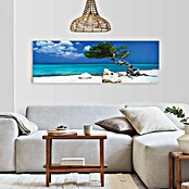 Reinders Decopanel (Divi Divi Tree, An x Al: 156 x 52 cm) | BAUHAUS