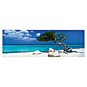 Reinders Decopanel (Divi Divi Tree, An x Al: 156 x 52 cm) | BAUHAUS