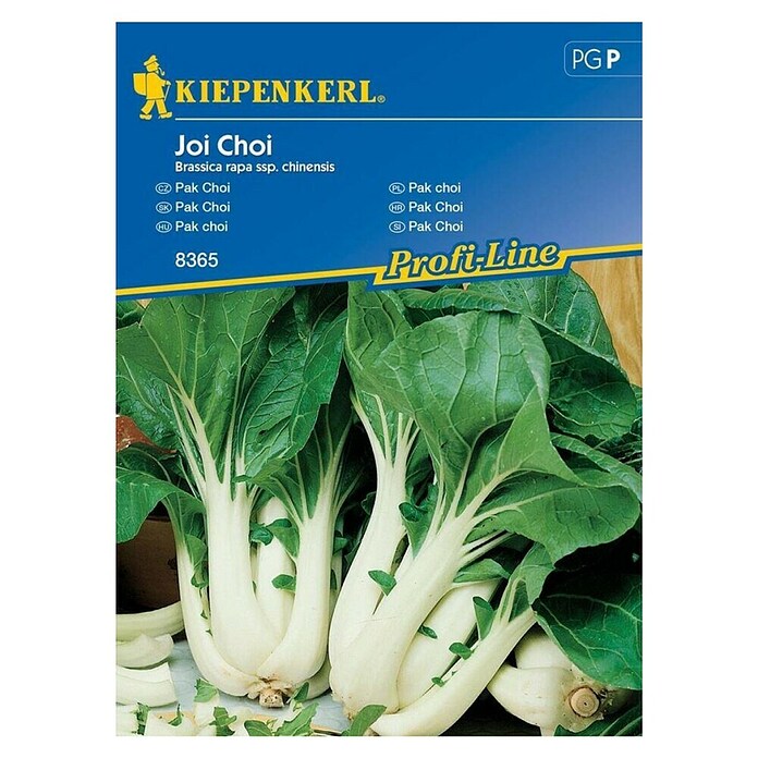 Kiepenkerl Zelenjavna semena Pak Choi Joi Choi  (Brassica rapa ssp. chinesis, Čas žetve: Avgust) | 8127 - Feinsämereien in PG Marke | IBYA - Sämereien | IBY - Sämereien | IB - Grünpflanzen/Sämereien | I - Stadtgarten | BAUHAUS