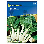 Kiepenkerl Zelenjavna semena Pak Choi Joi Choi  (Brassica rapa ssp. chinesis, Čas žetve: Avgust) | 8127 - Feinsämereien in PG Marke | IBYA - Sämereien | IBY - Sämereien | IB - Grünpflanzen/Sämereien | I - Stadtgarten | BAUHAUS
