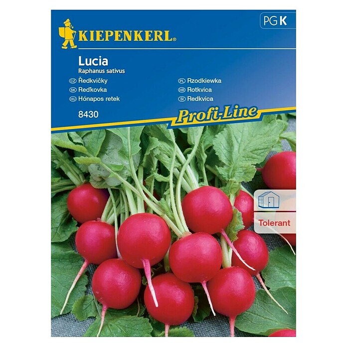 Kiepenkerl Sjeme povrća rotkvica Lucia  (Raphanus sativus, Berba: Travanj, 10 m²) | BAUHAUS