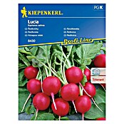 Kiepenkerl Sjeme povrća rotkvica Lucia  (Raphanus sativus, Berba: Travanj, 10 m²) | BAUHAUS