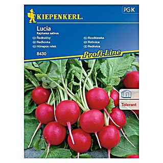 Kiepenkerl Zelenjavna semena redkvica Lucia (Raphanus sativus, Čas žetve: April, 10 m²)
