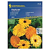 Kiepenkerl Profi-Line Sjeme cvijeća Neven Pracht-Mix  (Calendula officinalis, Žuta, narančasta) | BAUHAUS