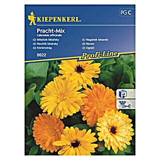 Kiepenkerl Profi-Line Sjeme cvijeća Neven Pracht-Mix (Calendula officinalis, Žuta, narančasta)