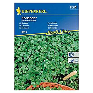 Kiepenkerl Profi-Line Sjeme začinskog bilja Korijander (Coriandrum sativum)