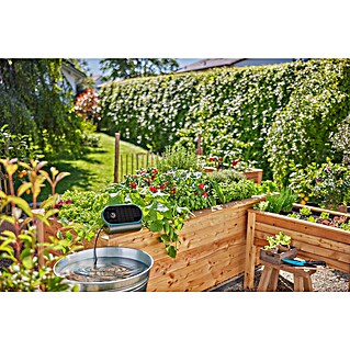 Gardena Bewässerungs-Set AquaBloom L (7,2 V, Solarbetrieben)
