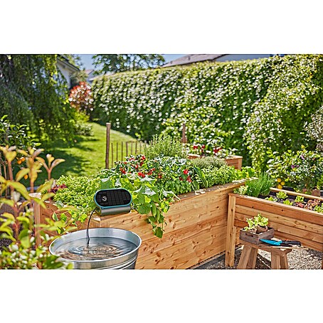 Gardena Micro-Drip Bewässerungs-Set AquaBloom L (7,2 V, Solarbetrieben)