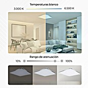 Ksix Plafón LED Smart Twilight (72 W, L x An x Al: 47,5 x 47,5 x 6,2 cm, Plata, Multicolor) | BAUHAUS