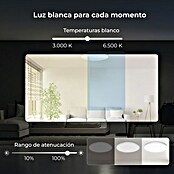 Ksix Plafón LED redondo inteligente Halo (60,9 W, Ø x Al: 47 x 6 cm, Blanco, RGB) | BAUHAUS