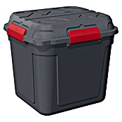 Sunware Caja de almacenaje Q-Line (L x An x Al: 60,1 x 53,1 x 54,5 cm, Plástico, Atracita/Rojo) | BAUHAUS