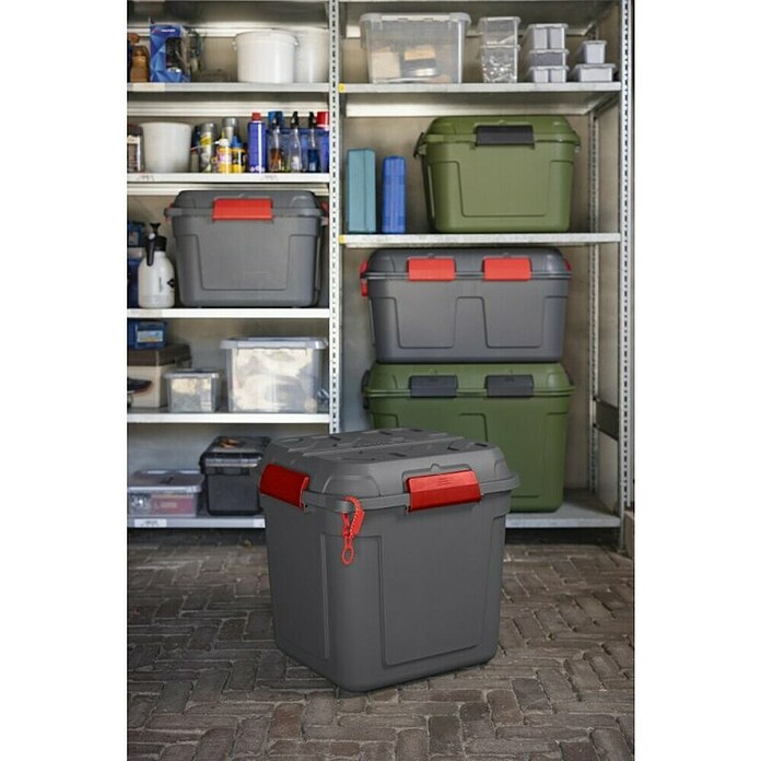 Sunware Caja de almacenaje Q-Line (L x An x Al: 60,1 x 53,1 x 54,5 cm, Plástico, Atracita/Rojo) | BAUHAUS