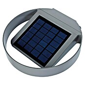 Lutec Aplique solar LED para exterior Lord (Célula solar, 1 W, IP44)