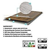 Vinylvloer (1.220 x 228 x 3,8 mm, Planken) | BAUHAUS