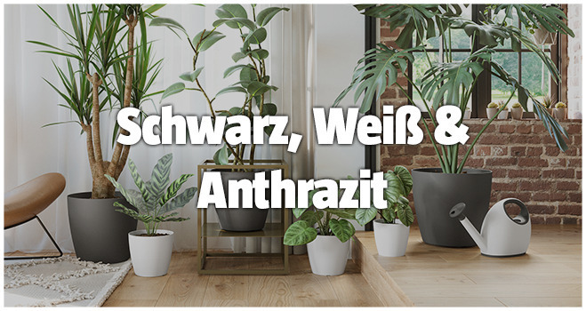 Schwarz, Weiß & Anthrazit