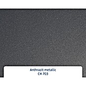 Hörmann EcoStar Haustür ISOPRO Secur IPS 780S (110 x 210 cm, DIN Anschlag: Rechts, Anthrazit metallic) | BAUHAUS