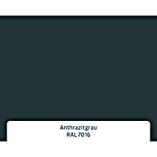 Hörmann EcoStar Haustür ISOPRO Secur IPS 780S (110 x 210 cm, DIN Anschlag: Links, Anthrazitgrau) | BAUHAUS