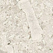 Cersanit Granitogresne ploščice Terazzo  (119,8 x 59,8 cm, Mat) | 4258 - Terrazzooptik | EAFA - Bodenfliesen | EAF - Fliesen | EA - Fliesen | E - Fliesen | BAUHAUS