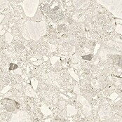 Cersanit Granitogresne ploščice Terazzo  (119,8 x 59,8 cm, Mat) | 4258 - Terrazzooptik | EAFA - Bodenfliesen | EAF - Fliesen | EA - Fliesen | E - Fliesen | BAUHAUS