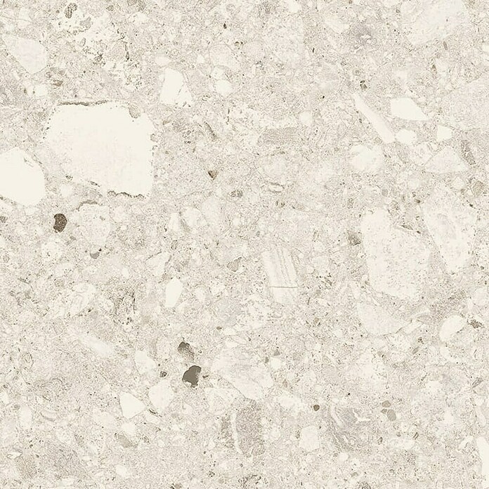 Cersanit Granitogresne ploščice Terazzo  (119,8 x 59,8 cm, Mat) | 4258 - Terrazzooptik | EAFA - Bodenfliesen | EAF - Fliesen | EA - Fliesen | E - Fliesen | BAUHAUS