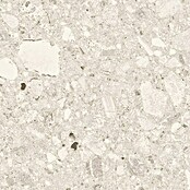 Cersanit Granitogresne ploščice Terazzo  (119,8 x 59,8 cm, Mat) | 4258 - Terrazzooptik | EAFA - Bodenfliesen | EAF - Fliesen | EA - Fliesen | E - Fliesen | BAUHAUS