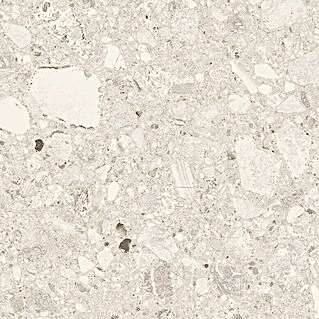 Cersanit Granitogresne ploščice Terazzo (119,8 x 59,8 cm, Mat)