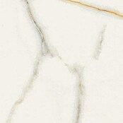 Cersanit Zidna pločica Exclusive Marble  (60 x 60 cm, Bijela) | BAUHAUS