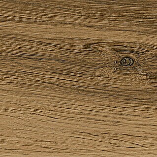 Cersanit Talne ploščice Ashville Brown (29,7 x 59,8 mm, Rjava)