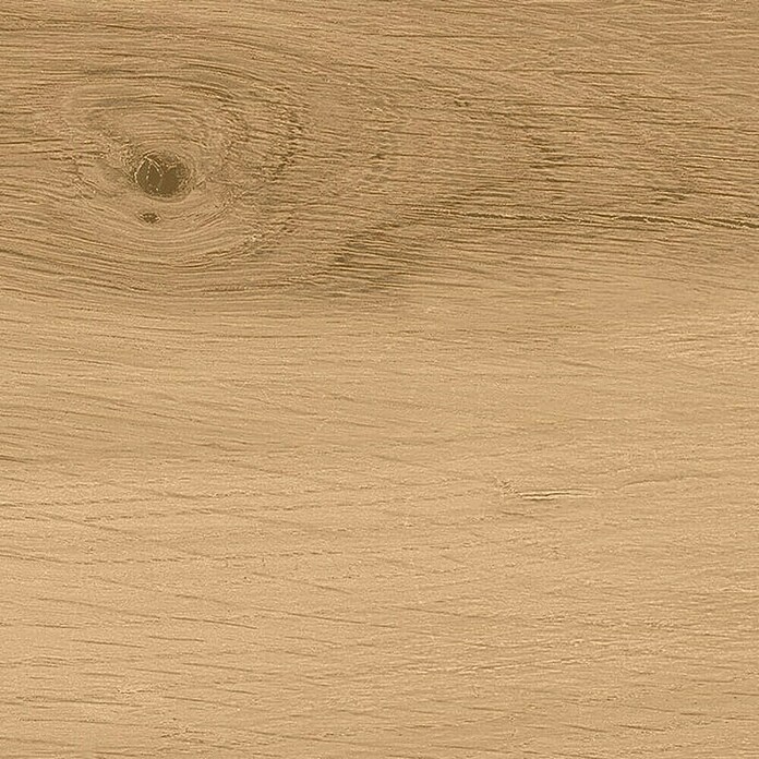 Cersanit Talne ploščice Ashville Beige  (Do x Š x De: 29,7 cm x 59,8 mm x 8 mm, Rjava, Mat) | Kamnite ploščice | Talne ploščice | Ploščice | Izdelki | BAUHAUS