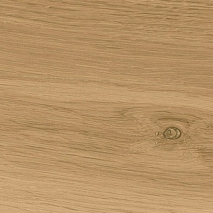 Cersanit Talne ploščice Ashville Beige  (Do x Š x De: 29,7 cm x 59,8 mm x 8 mm, Rjava, Mat) | Kamnite ploščice | Talne ploščice | Ploščice | Izdelki | BAUHAUS