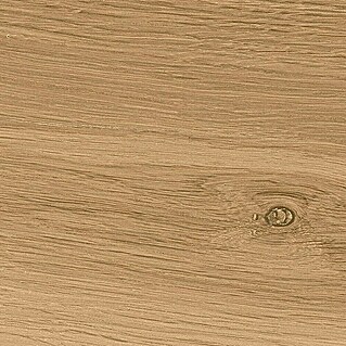 Cersanit Podna pločica Ashville (D x Š x D: 29,7 cm x 59,8 mm x 8 mm, Smeđe, Mat)