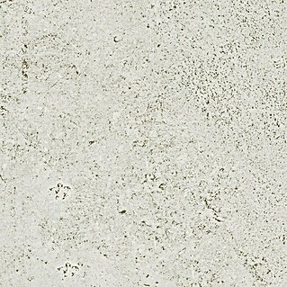 Plošča iz naravnega kamna Newstone White (60 x 120 cm, Mat)
