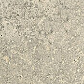 Granitogresne ploščice Toskana  (Keramika, 59,8 x 119,8 cm, Mat) | 4240 - Natursteinoptik | EAFA - Bodenfliesen | EAF - Fliesen | EA - Fliesen | E - Fliesen | BAUHAUS