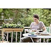Elho Green Basics Set balkonske tegle za biljke All in (49 x 18 cm, Terakota)