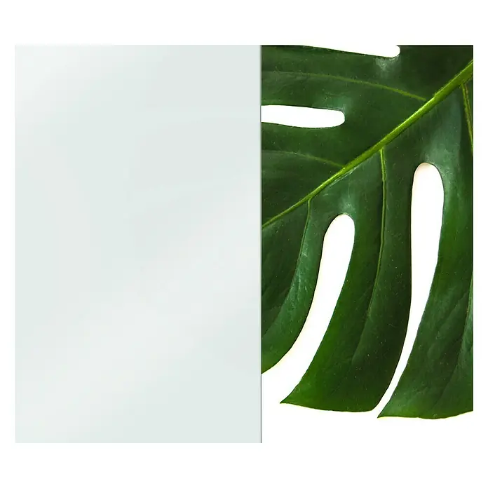 CUCINE Küchenrückwand - Weiß, 60 x 40 cm, Stärke: 6 mm, Einscheibensicherheitsglas (ESG) - Nahaufnahme eines Monstera-Blattes neben einer leeren weißen Fläche, ideal für Produktdisplays.