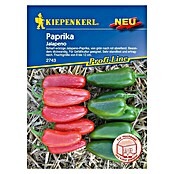 Kiepenkerl Profi-Line Gemüsesamen Blockpaprika (Jalapeno, Capsicum annuum, Erntezeit: August) | BAUHAUS