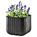 Keter Maceta para planta Cube Box 