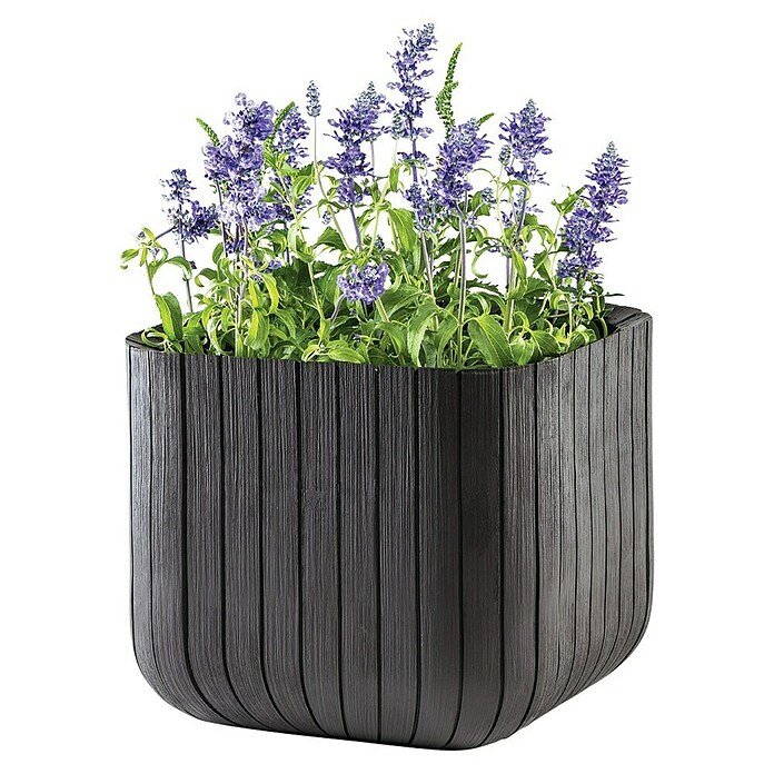 Keter Maceta para planta Cube Box (L x An x Al: 30 x 30 x 30 cm, Material compuesto, Marrón) | BAUHAUS