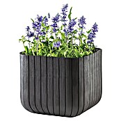 Keter Maceta para planta Cube Box (L x An x Al: 30 x 30 x 30 cm, Material compuesto, Marrón) | BAUHAUS